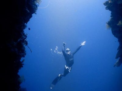 Graceful Freediver